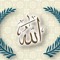 Rizk Mohamed