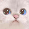User 564740057
