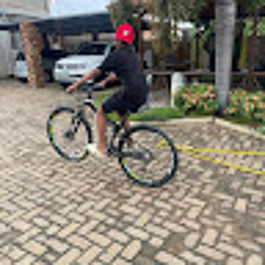 Picaxu 46