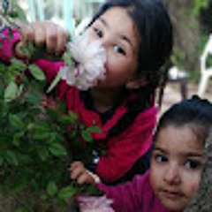 Mohammad ALmajali 💕