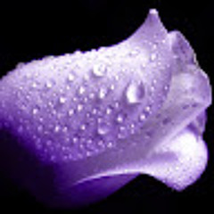 Noureen Fatima