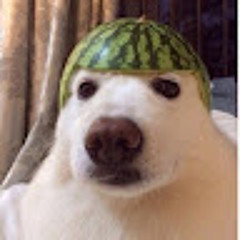 KiWi Jr