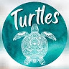 Turtles Restaurant Bar