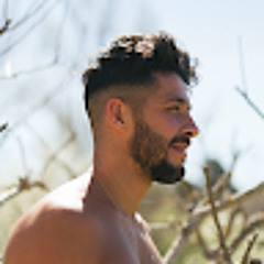 Víctor Bermúdez