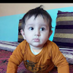 bakhtgul armani
