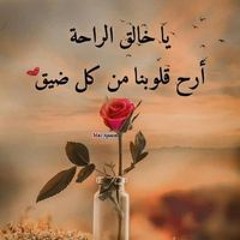 Mohamad Almesh