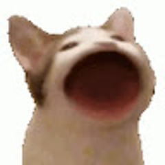 CA T