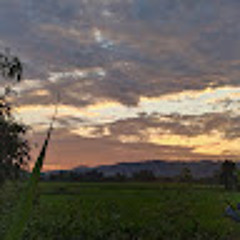 Sáng Trương