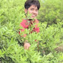 noman ali