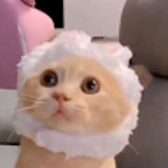 Дима Деревянко