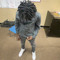Itsonly AJ