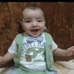 mostafa ibrahim
