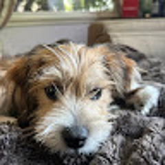 Ollie Atlas
