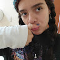 Mich V