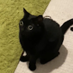 Анастасія Татарова