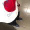 yoyo