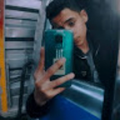 Homo Elsaka