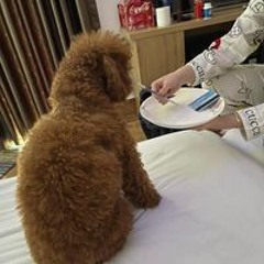Huỳnhh Thịi Lụaa