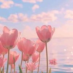 Rodinamohamed4240