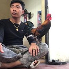 Phạm Tư Hạ Long