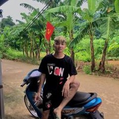Bạch Kim Nguyên