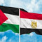 صلاح احمد