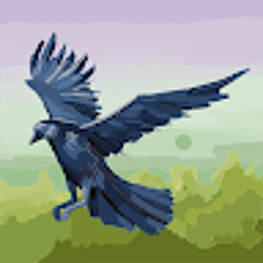 Nhật Hào Nguyễn