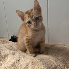 Đinh Thị Ngọc Trâm