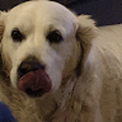 Garryfn