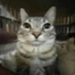 Эмиль Хайруллин