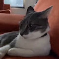 santi