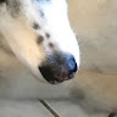 Snoot E
