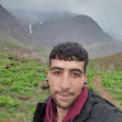 Sohel Noshady