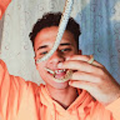 زواحف مصر