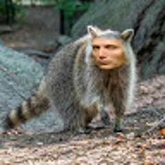 Єнот Міккелсен