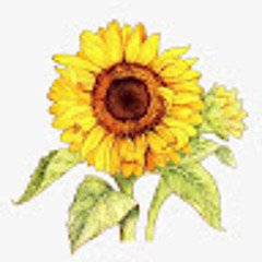 Tạ Ngọc Thảo Nguyên