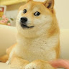 takeshi _