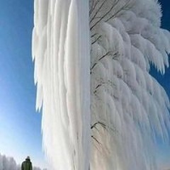 Nguyễn Long Nguyễn Long