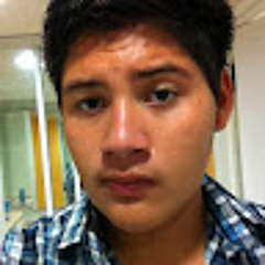 Luis Carlos Anaya Avalos