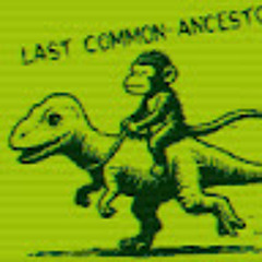 Last common ancestor
