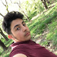 ehsan afsharian