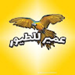 عمير tv