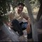 سيف وجيه