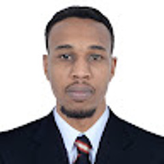 fares abdelrhim
