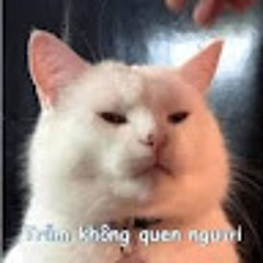 Isun Con meo meo