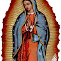 Andrea Gamez