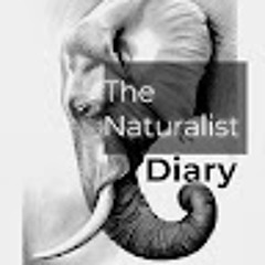The Naturalist Diary