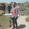 ابواكرم العربى