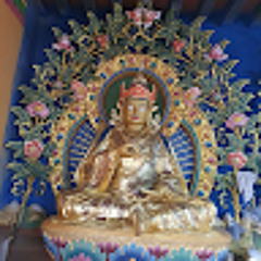 Tashi Wangdi