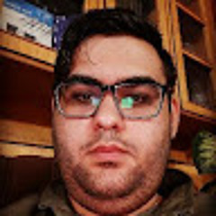 محمد رضا حسام زاده